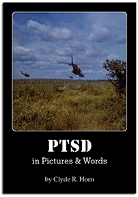 PTSD in Pictures and Words